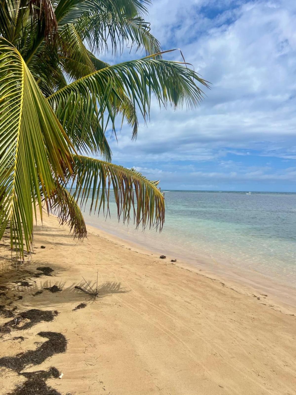 Oceanview Apartment Steps To The Beach Luquillo Exterior foto